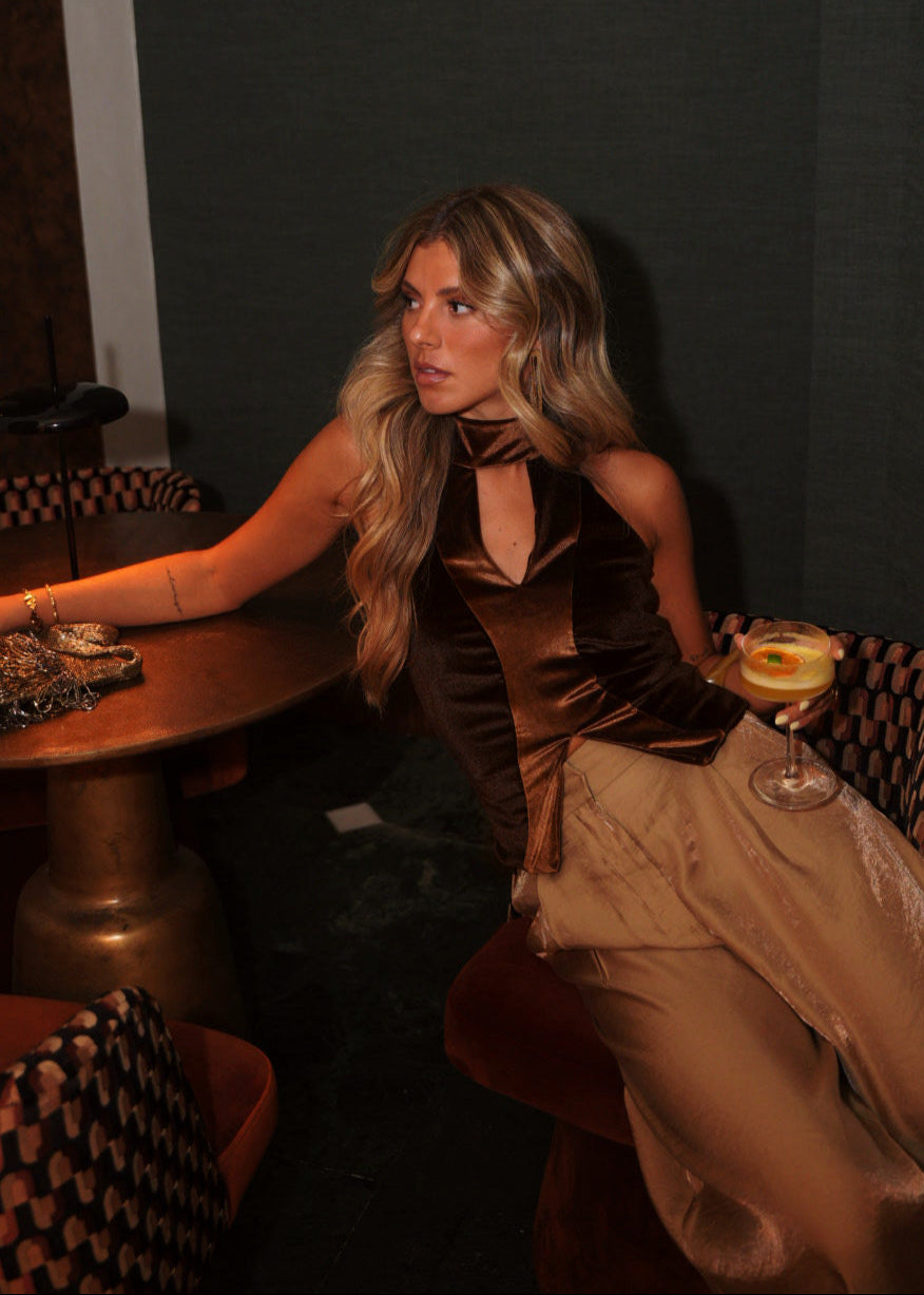 BROWN VELVET TOP